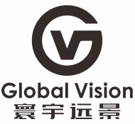 Global Vision Consulting